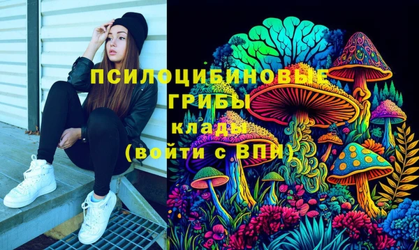 эйфоретик Дмитриев