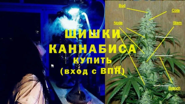 эйфоретик Дмитриев